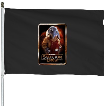 Discover Star Wars Skeleton Crew Neel with Series Logo Disney House Flags
