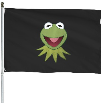 Discover Disney K the frog Snowyarn House Flags