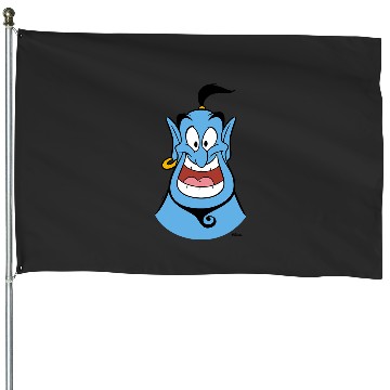 Discover Disney Princess  Genie Face House Flags