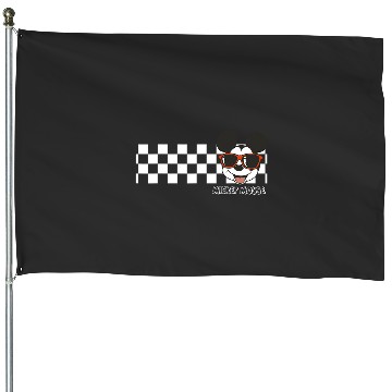 Discover Disney Mickey And Friends Mickey Mouse Checkerboard Stripe House Flags