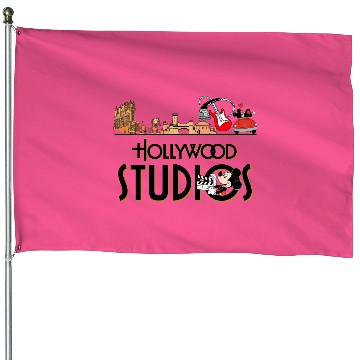 Discover Disney Hollywood Studios House Flags