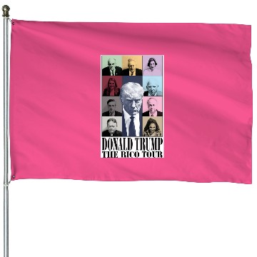 Discover Eras Tour (Trump_s Version).png House Flags