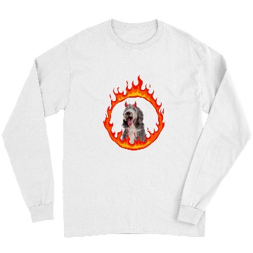 Discover Devil Dog Bearded Collie 2 Long Sleeves
