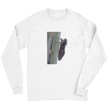 Discover Cicada Vector Cut Out Long Sleeves