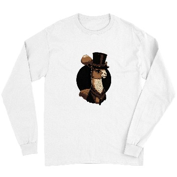 Discover Llama Pet Wearing Fancy Top Hat Long Sleeves