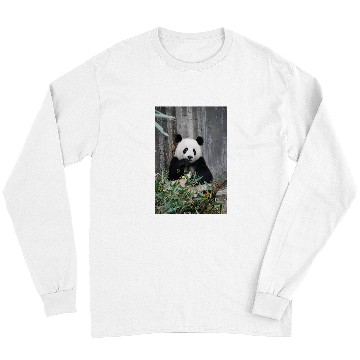 Discover Panda Pet Eating Bamboo Leaves Long Sleeves