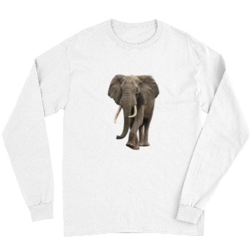 Discover Elephant Pet Large African Grey Elephant With Tusks Long Sleeves
