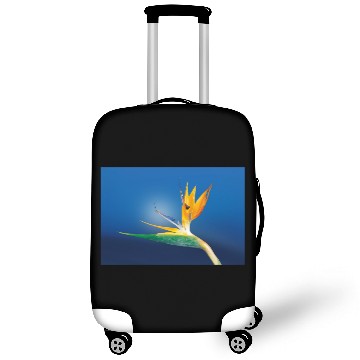 Discover Strelitzia. Bird of paradise flower. Luggage Covers