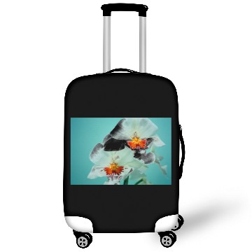 Discover Hawaiian "Dancing Ladies" Tropical Flowers Luggage Covers