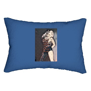 Discover Reputation Eras Tour inspired design TaylorSwift Long Lumbar Pillows