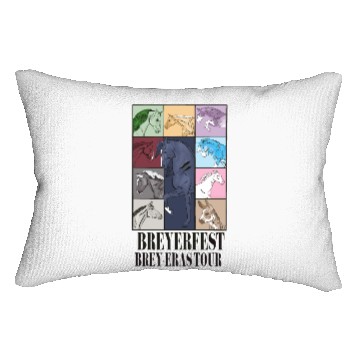 Discover BREY-ERAS TOUR Lumbar Pillows