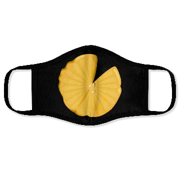 Discover Lotus leaf Face Masks