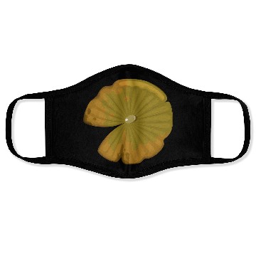 Discover Lotus leaf Face Masks