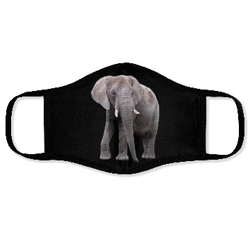 Discover Elephant Face Masks