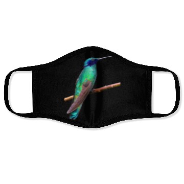 Discover Hummingbird Face Masks
