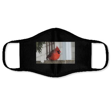 Discover Brilliant Cardinal Bird 2 Face Masks