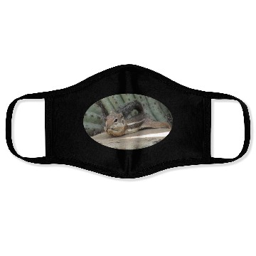 Discover Harris's antelope squirrel Face Masks