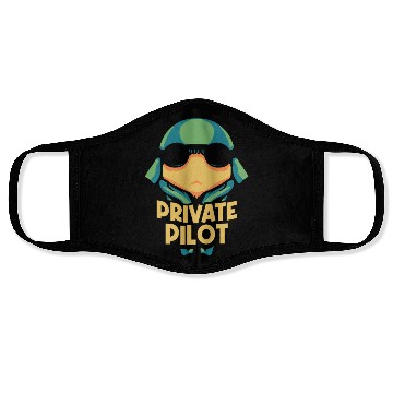 Discover Private Pilot Aircraft Small Airplane Face Masks