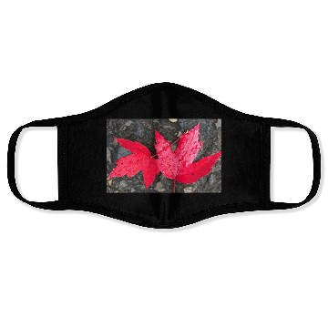 Discover Leaf it to Me Classic Face Masks