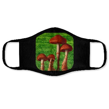 Discover Natural mushroom Face Masks