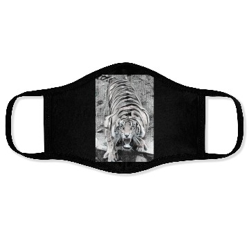 Discover Tiger Draw BW Looking Up Face Masks