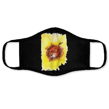 Discover Sleeping fox Face Masks