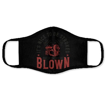 Discover Drag Racing Race Car Pun It's Nice Face Masks