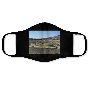 Discover Antelope near Grand Canyon West Face Masks