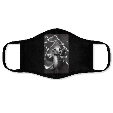 Discover Lightning Bolt Panda Face Masks