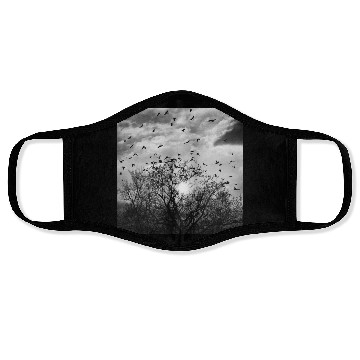 Discover Bird's flight at sunset Face Masks