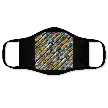 Discover Wildlife Stripe black Collage Face Masks