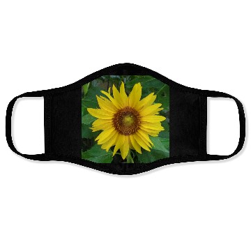 Discover My sunflower Face Masks