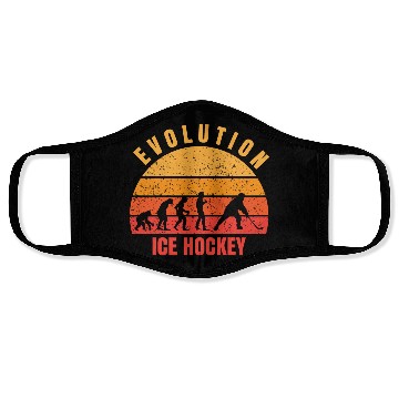 Discover Evolution ice hockey Face Masks