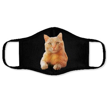 Discover Orange Cat Face Masks