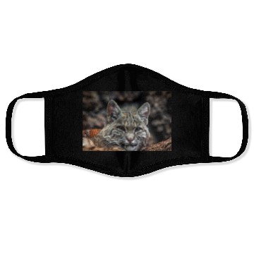Discover Baby Bobcat, Cat, Stickers, Face Masks