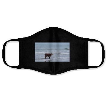 Discover I May Be Stupid Face Masks