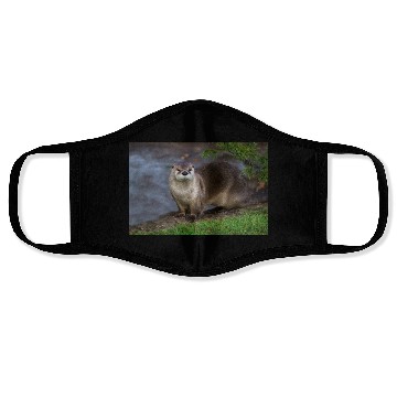Discover Adorable Otter on the Riverbank Face Masks