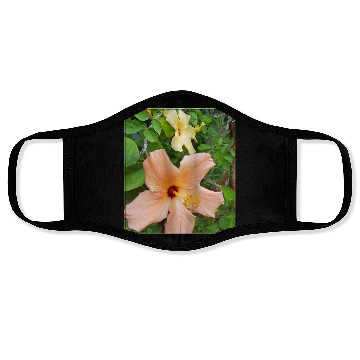 Discover Hibiscus 5 Face Masks