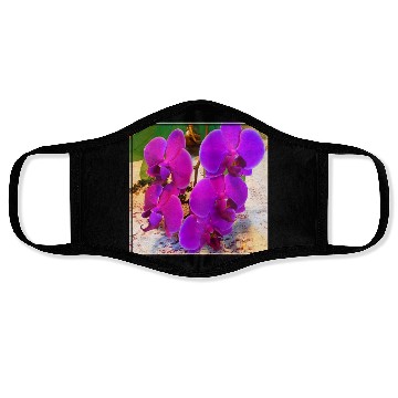 Discover Orchid 3 Face Masks
