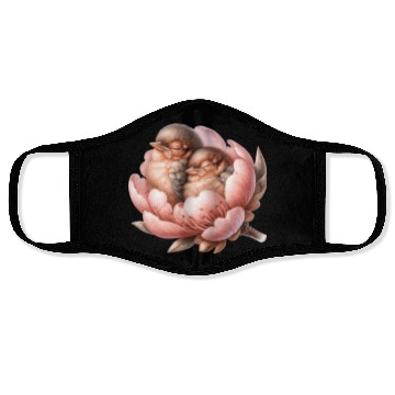 Discover Birds Sleeping In Flower Face Masks