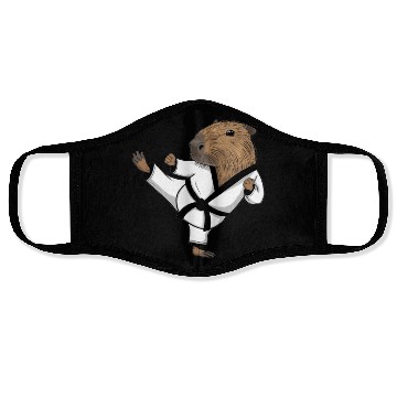 Discover Karate Taekwondo Funny Cat Jiu Jitsu Women Girls Face Masks