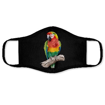 Discover Macaw Parrot for a Bird Lover Animal Lover Face Masks