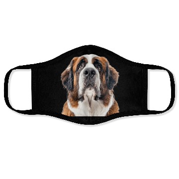 Discover Saint Bernard Face Masks