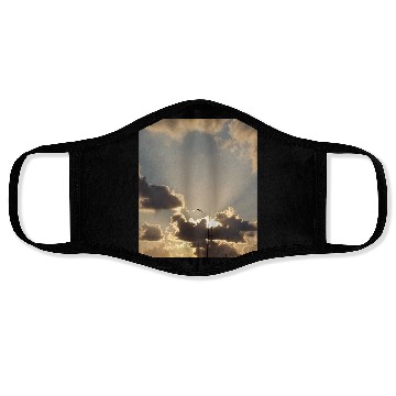 Discover view Natural 3 Face Masks