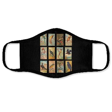 Discover Vintage Exotic Bird Illustration Collection Face Masks