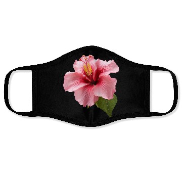 Discover Hibiscus Face Masks