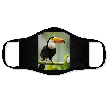 Discover Tropical Toucan Face Masks