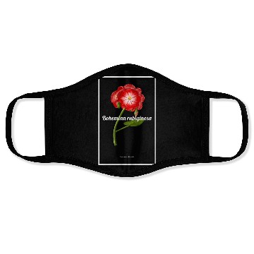 Discover Bohemian rubiginosa Face Masks