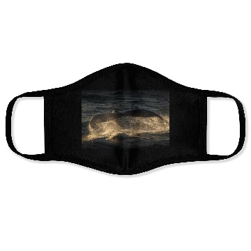 Discover Humpback Whale Tail Face Masks