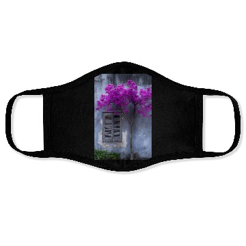 Discover Vibrant Blossom Against Rustic Wall Face Masks